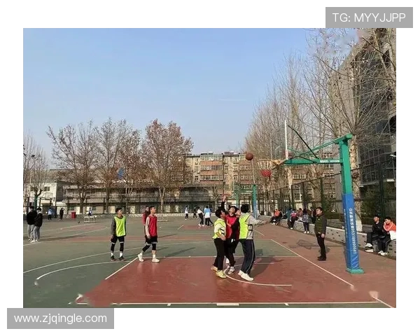 武汉排球队运营分析：成功经验与失误教训的深度剖析