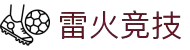 雷火·竞技(中国)-全球领先的电竞赛事平台